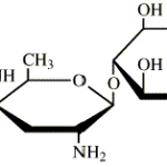 Hoạt Chất  Kháng Sinh