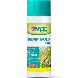 BUMP GOLD 40SE