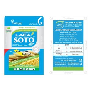 LACASOTO 4SP