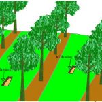 thong tin thuoc bvtvthong tin thuoc bvtv