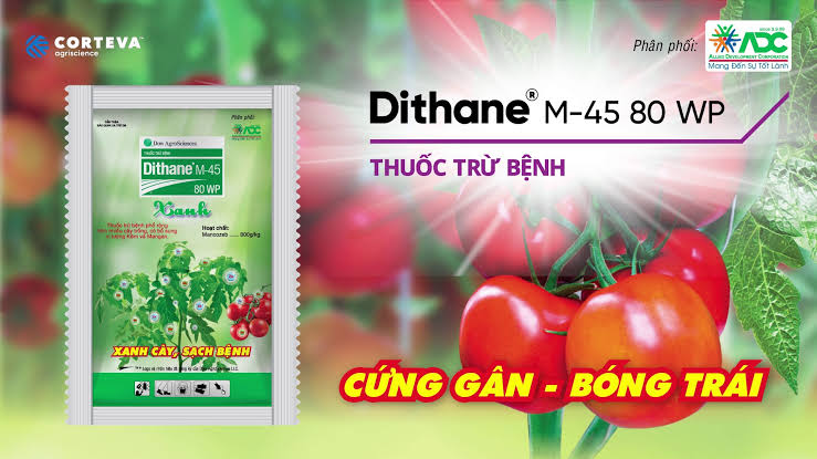 thuốc trừ bệnh nội hấp